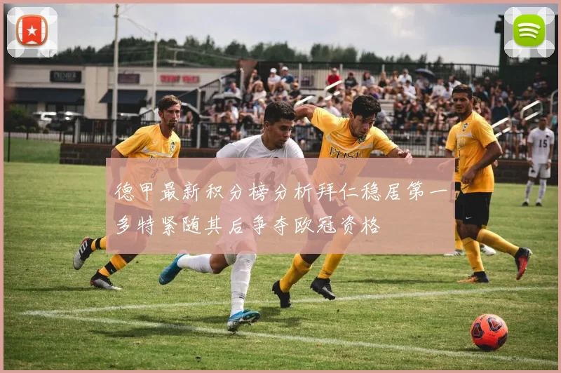 德甲最新积分榜分析拜仁稳居第一多特紧随其后争夺欧冠资格