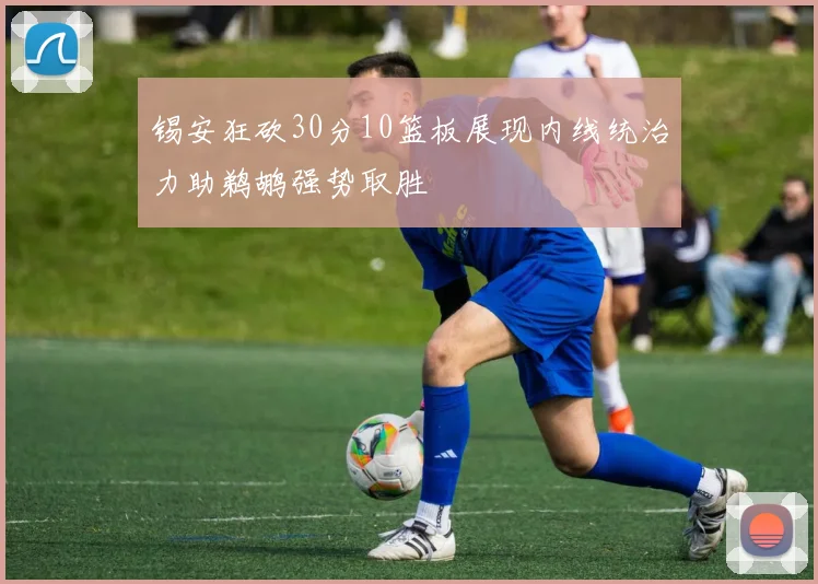 锡安狂砍30分10篮板展现内线统治力助鹈鹕强势取胜